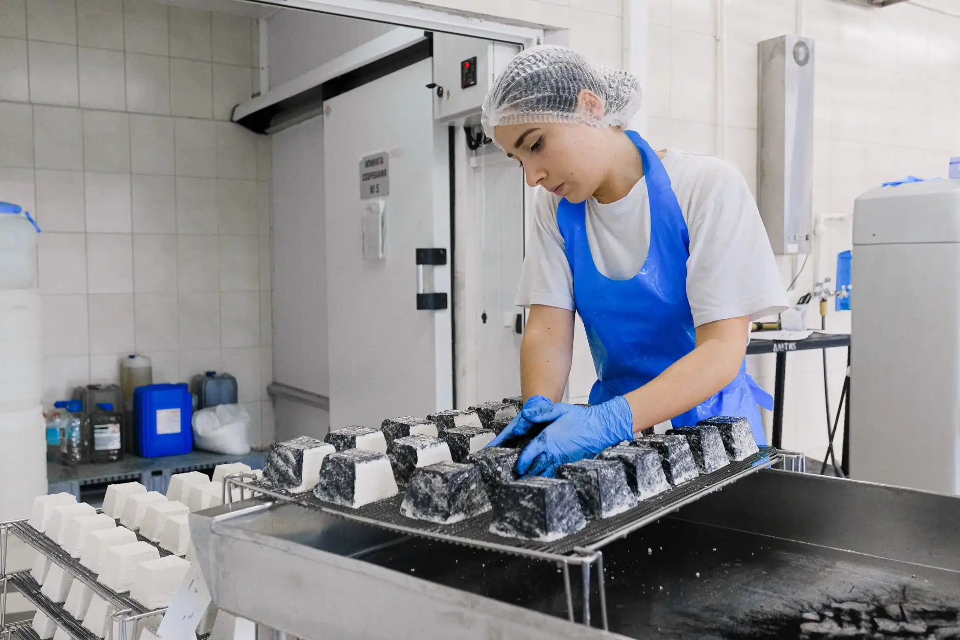 蟑螂饵剂与胶饵的持效期差异及餐饮厨房选型要点解析正文配图 1